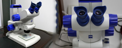 双目镜4倍连续变焦的紧凑型实体显微镜，安装方