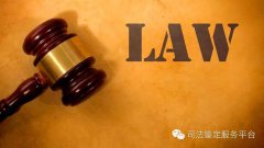 两份鉴定意见书，哪份效力高？